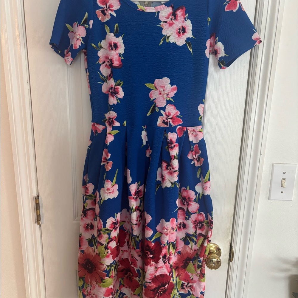 Floral Blue and Pink LulaRoe Amelia